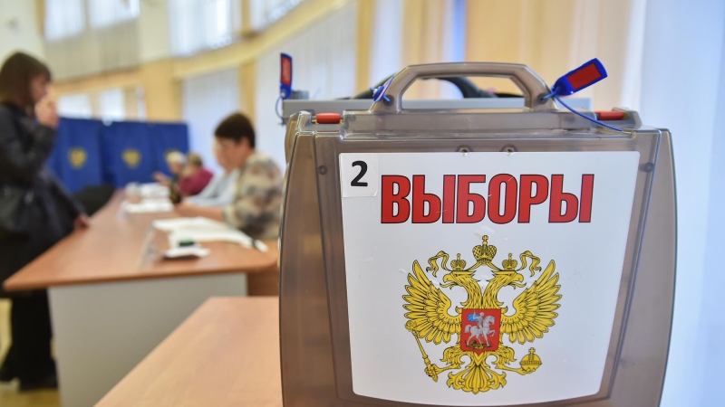 В Курской области началось досрочное голосование на выборах
