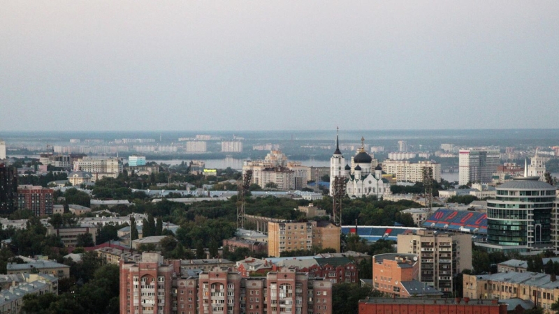 В воронежской мэрии назвали причину давки у ворот школы
