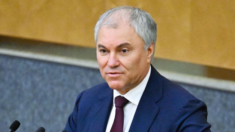 Володин призвал министерства отказаться от отдыха за границей