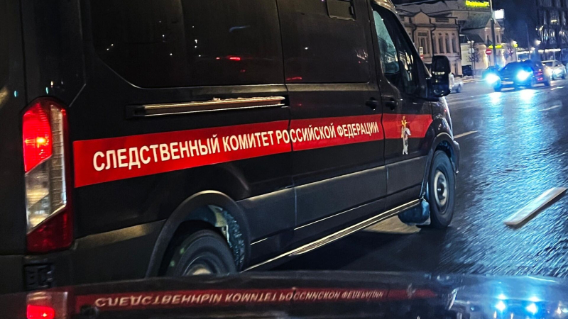 Подозреваемый в убийстве в Электростали дал признательные показания