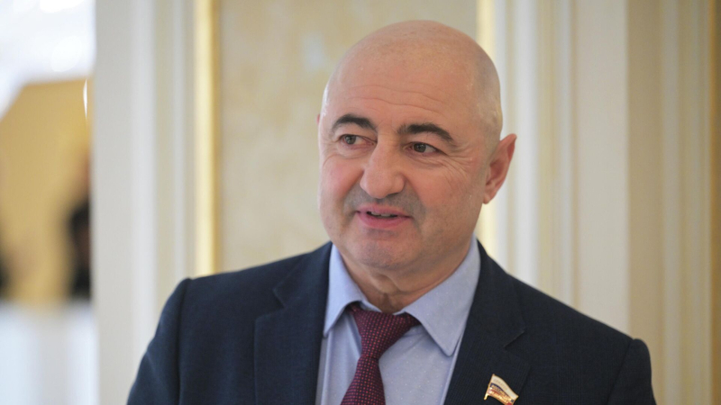 Сенатор Вайнберг, досрочно сложивший полномочия, отправится на СВО