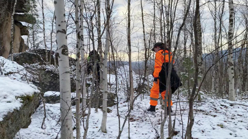 СК пояснил почему возобновили поиски пропавшей семьи Усольцевых