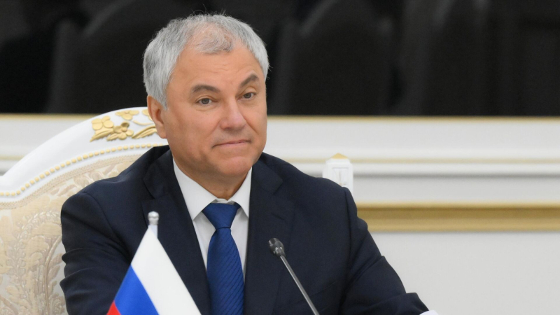 Госдума рассмотрит проекты по совершенствованию миграционной политики