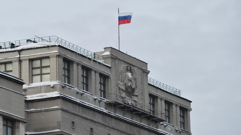 В Госдуме предложили установить камеры видеонаблюдения на детских площадках