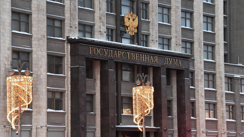 В Госдуме предложили увеличить ряд социальных выплат семьям с детьми