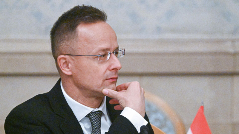 Венгрия должна не поддаться провокациям Брюсселя и Киева, заявил Сийярто