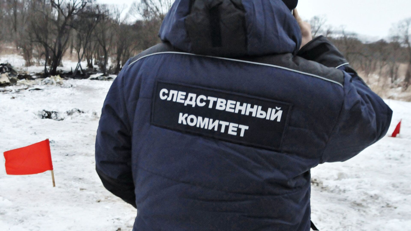В ДНР трехлетний ребенок с матерью погибли из-за пожара