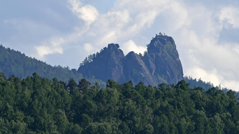 Более 180 видеокамер следят за красноярскими лесами