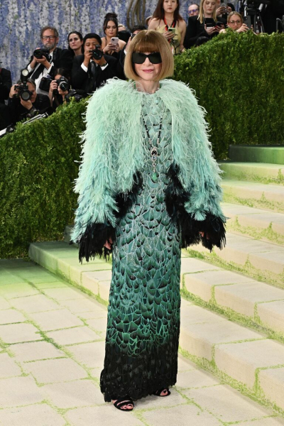 Мода как искусство: самые яркие образы знаменитостей на Met Gala 2026