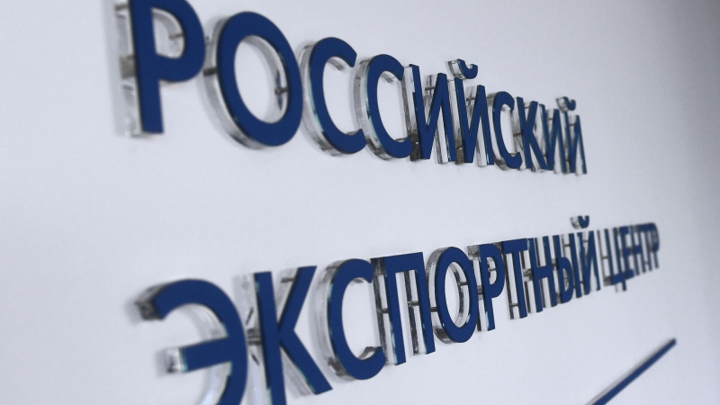 РЭЦ отметил роль ЦФА в международных расчетах