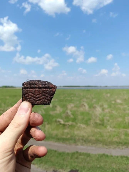 Археологи нашли поселение бронзового века в Челябинской области
