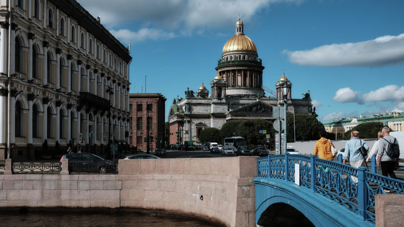 Череп, выловленный из реки в Петербурге, оказался кошачьим