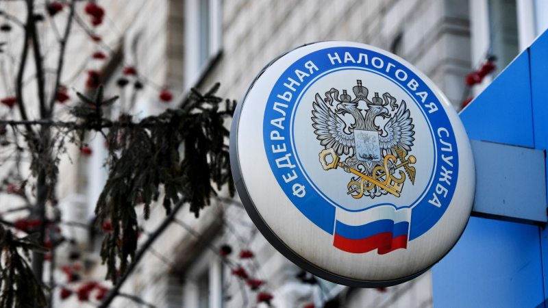 Финансист рассказала, видит ли ФНС содержание сообщений о переводах