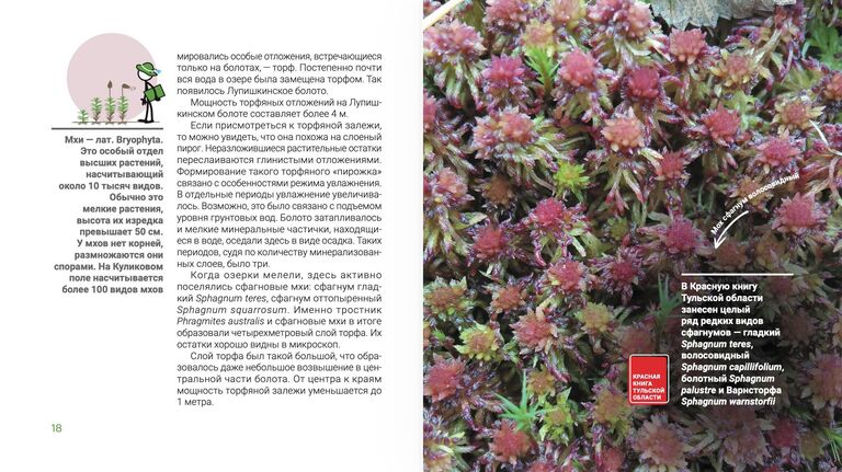 "Куликово поле" стало финалистом всероссийского конкурса литературы