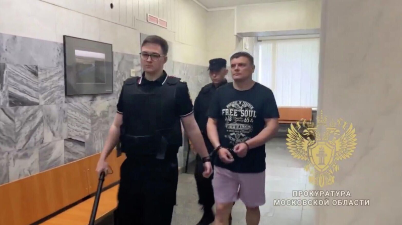 Обвиняемый в убийстве жены в Домодедово признал вину