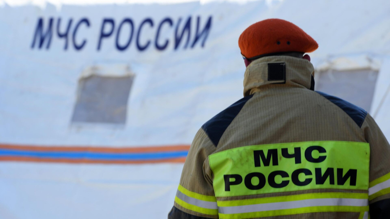 После пожара в Ленинградской области эвакуировали более 600 человек