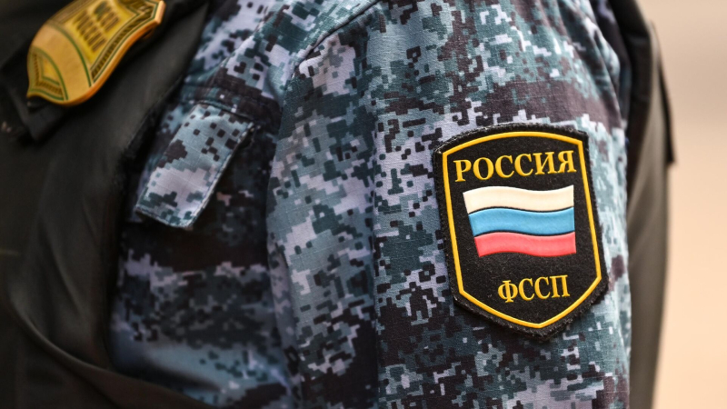С иноагента Анина* принудительно взыскивают 158 тысяч рублей