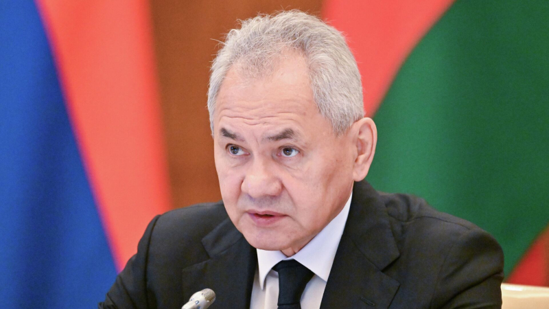 Шойгу предложил создать на платформе БРИКС механизмы реагирования на ЧС