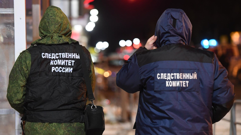 СК начал поиски девочки, ушедшей погулять два дня назад в Югре