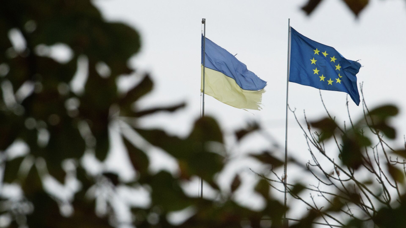 Украина использует Запад для отмывания денег, считает журналистка