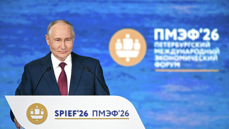 Украина пытается разрабатывать БПЛА, заявил Путин