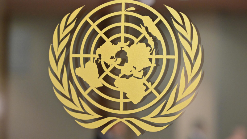 УВКПЧ ООН продолжит отстаивать защиту языков на Украине