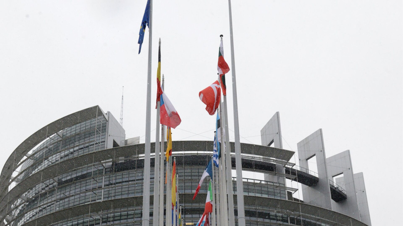 В Европарламенте разгорелся скандал из-за расистского высказывания