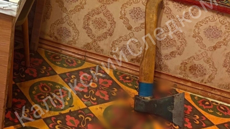 В Калужской области пенсионер зарубил топором спящего сына