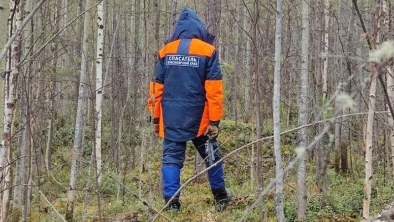 В Красноярском крае возобновили масштабные поиски семьи Усольцевых