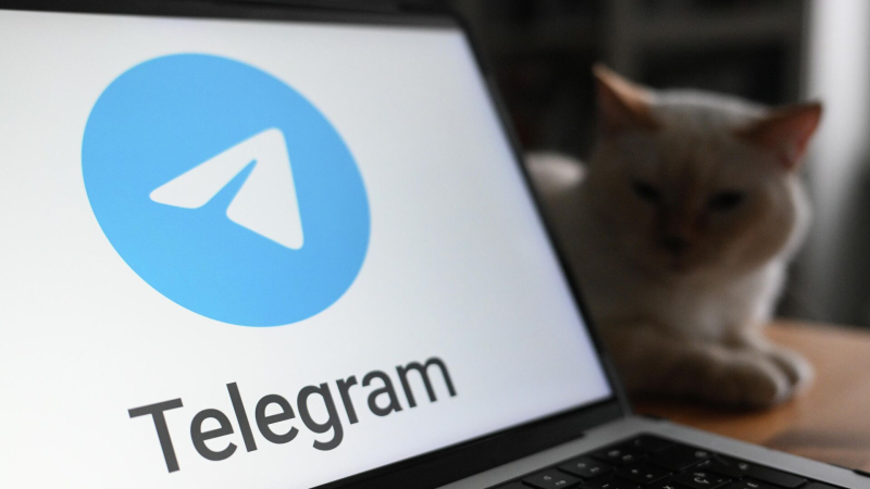 В МВД рассказали, как проверить подлинность уведомления от Telegram