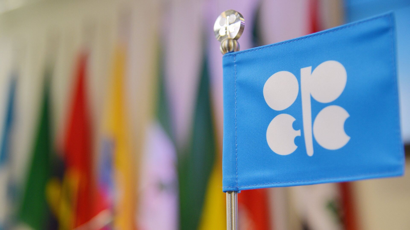 В ОПЕК рассказали, кто больше всего зарабатывает на росте цен на нефть