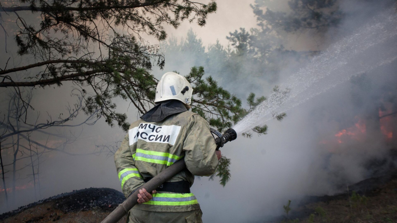 В Тюмени создали систему обнаружения торфяных пожаров