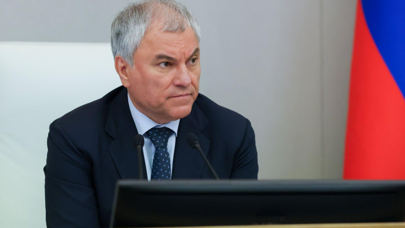 Володин может возглавить региональную группу ЕР для выдвижения на выборы
