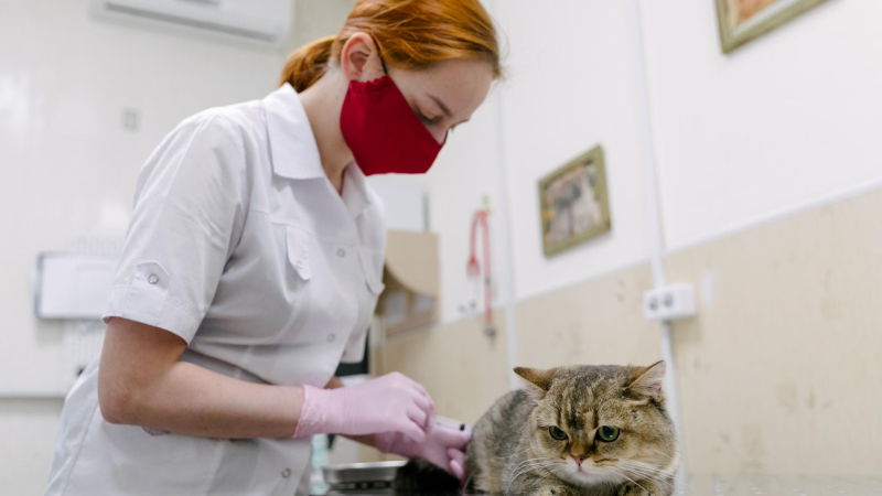 Котяков назвал профессии, которые останутся востребованными до 2032 года