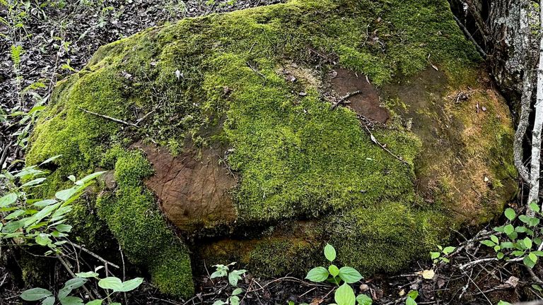 Мегалиты мезозойской эры обнаружены на Куликовом поле