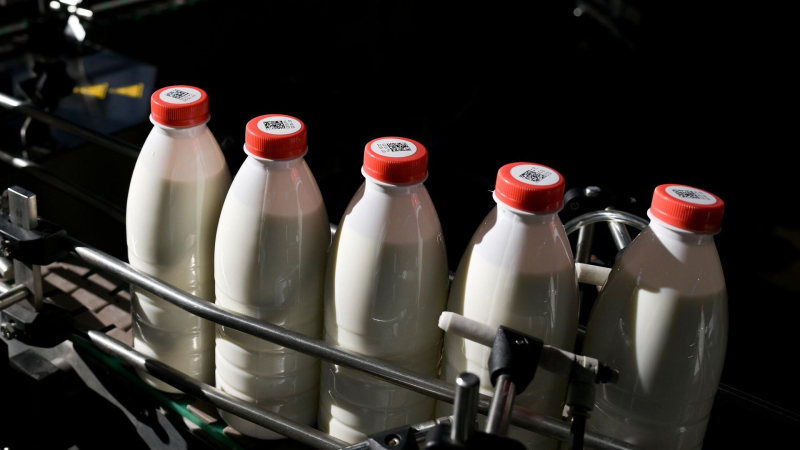 Россельхознадзор временно ограничит поставки молочной продукции из Армении