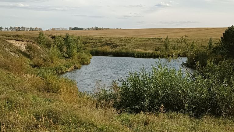 Туристическую тропу к Камню Дмитрия Донского создадут на "Куликовом поле"