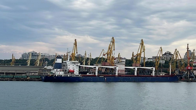 У Украины начались проблемы с экспортом зерна через Черное море, пишут СМИ