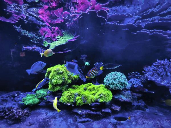 Уютный город по пути на мореКак провести насыщенные выходные в Воронеже