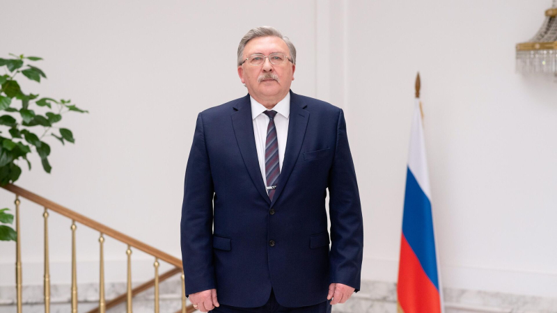 Ульянов: Россия и МАГАТЭ могут обсудить новые меры безопасности ЗАЭС