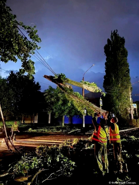 В Ростове-на-Дону из-за непогоды погиб человек, еще 13 пострадали