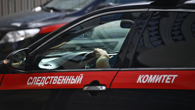 В Ульяновской области возбудили дело после гибели трех человек при пожаре