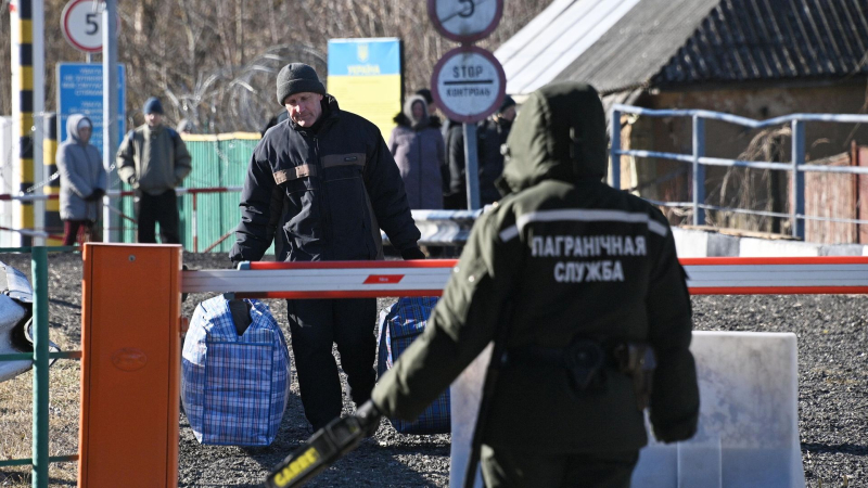 Более 7,5 тысяч украинцев пытались пересечь границу ФРГ с мая 2025 года