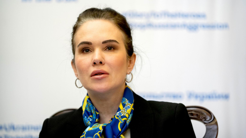 Экс-замглавы офиса Зеленского Мудрую внесли в базу "Миротворца"