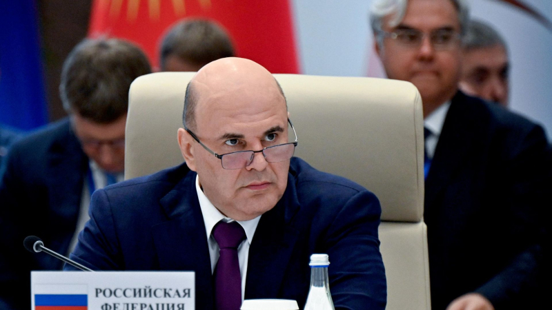 Мишустин призвал страны ЕАЭС объединить мощности и сырьевую базу