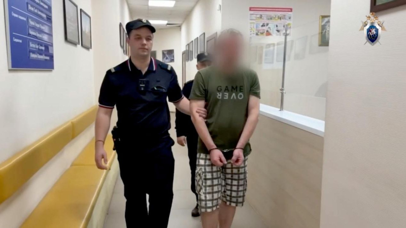 Мужчине, напавшему на людей в Солнечногорске, предъявили обвинение