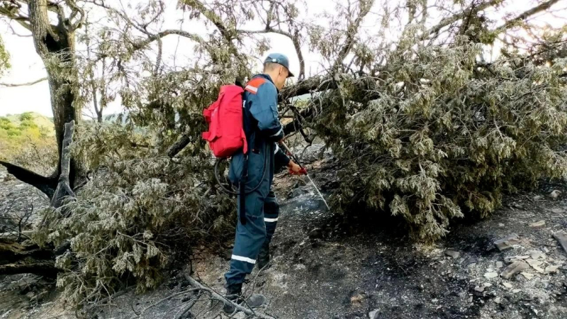 Пожар в заповеднике "Утриш" под Анапой потушили