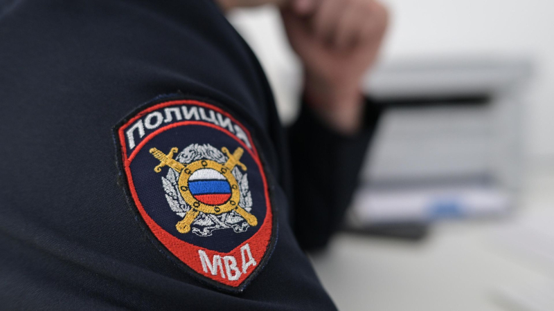 Проект "Выход 31" спасает молодежь от бандитов, рассказал Крупник