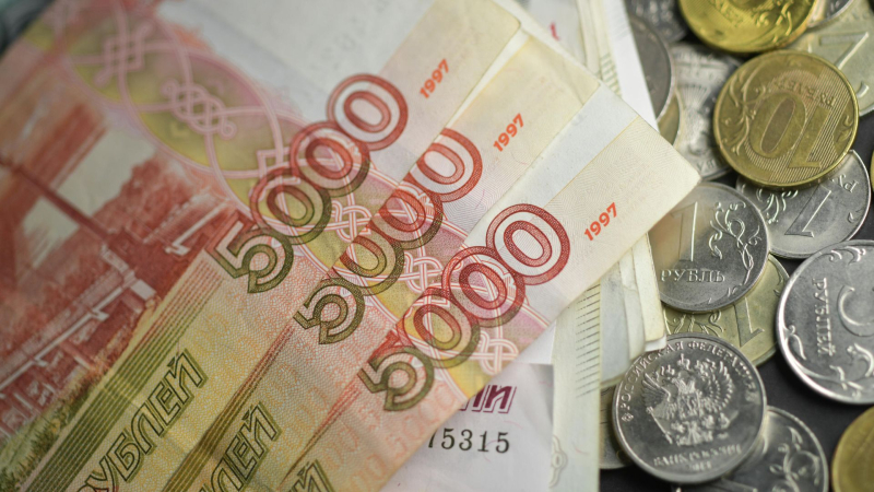 Россияне назвали идеальный размер финансовой подушки безопасности