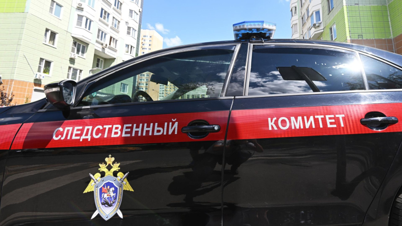 СК возбудили дело из-за ЧП с самолетом Cessna